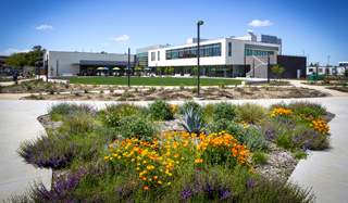 New Building Opens on UC Davis Veterinary Medicine Campus