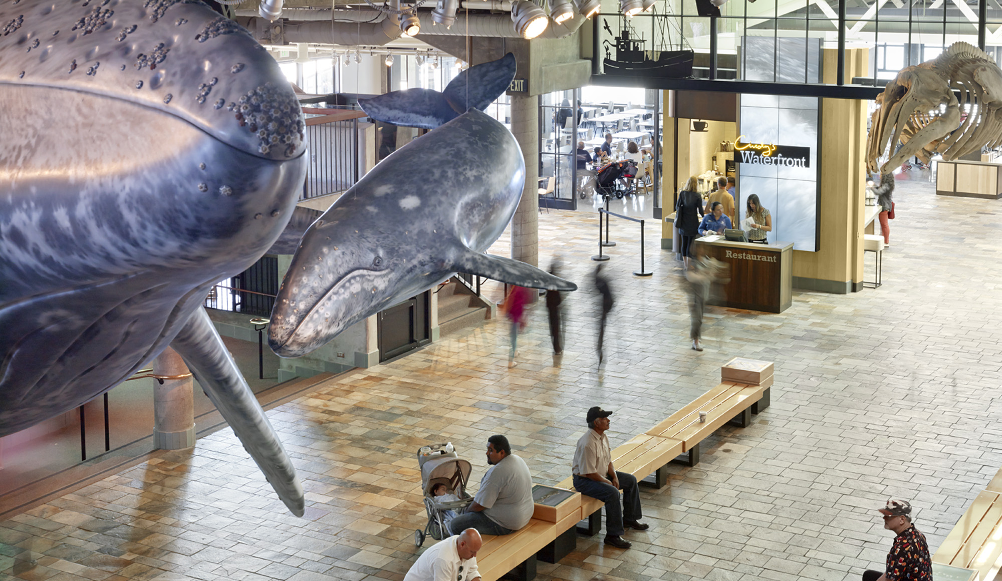 Monterey Bay Aquarium Open Sea Tank - Mba Whale 2x