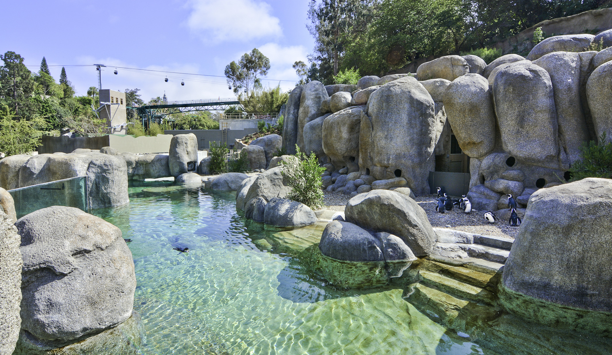 San Diego Zoo, Africa Rocks Exhibit