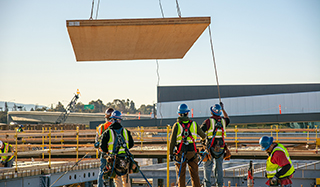 Case Study: Cross Laminated Timber