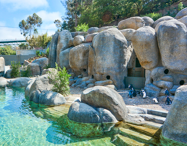 San Diego Zoo, Africa Rocks Exhibit - San Diego, CA